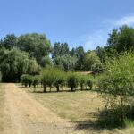 Camping Le Marais Sauvage - Bild 19