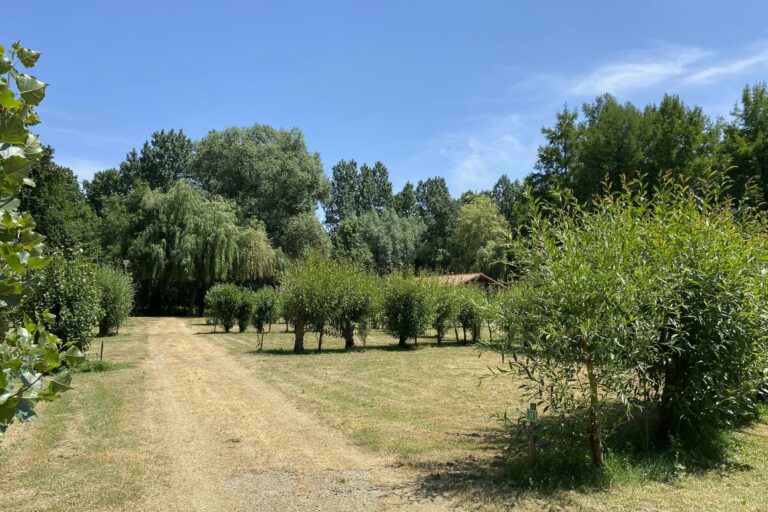 Camping Le Marais Sauvage - Bild 19