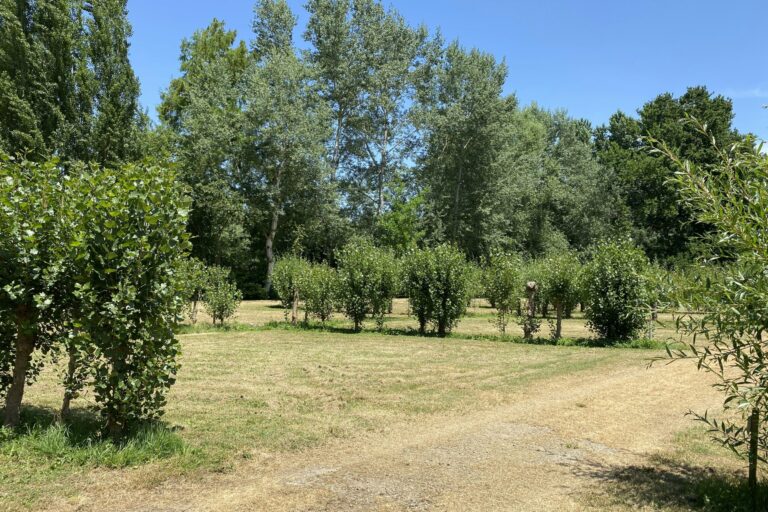 Camping Le Marais Sauvage - Bild 20