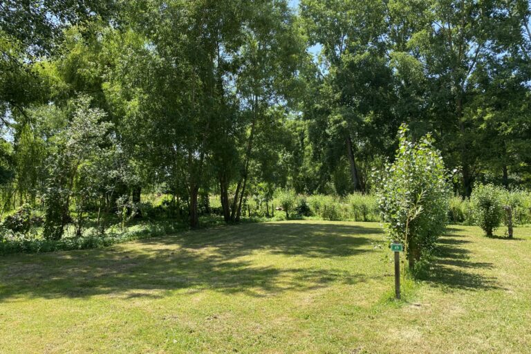 Camping Le Marais Sauvage - Bild 5