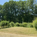 Camping Le Marais Sauvage - Bild 6