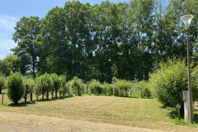 Camping Le Marais Sauvage - Bild 6