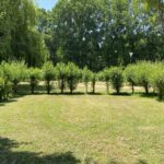 Camping Le Marais Sauvage - Bild 7