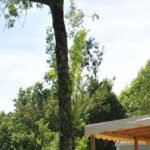 Camping Le Martin Pêcheur - Bild 7