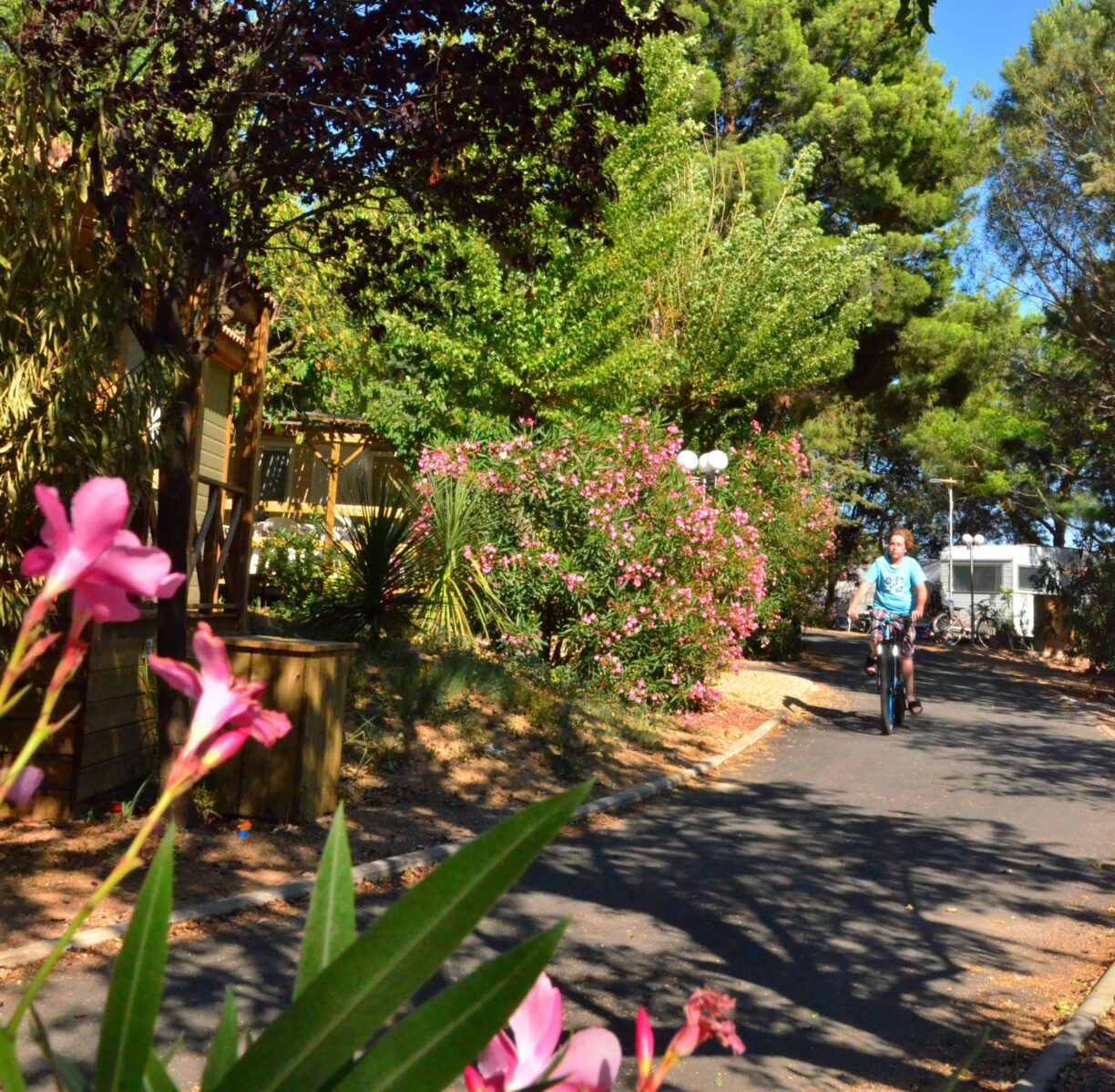 Camping Le Mas Du Padre - Bild 5 Camping Le Mas Du Padre - Bild 5