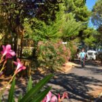 Camping Le Mas Du Padre - Bild 5 Camping Le Mas Du Padre - Bild 5