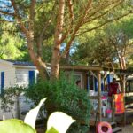 Camping Le Mas Du Padre - Bild 8 Camping Le Mas Du Padre - Bild 8