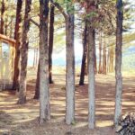 Camping Le Matin Calme - Bild 12