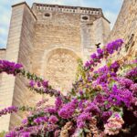 Camping Le Matin Calme - Bild 5