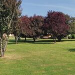 Camping Le Mondou - Bild 8