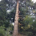 Camping Le Moulin De Piot - Bild 15 Camping Le Moulin De Piot - Bild 15