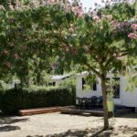 Camping Le Moulin Du Roy - Bild 4 Camping Le Moulin Du Roy - Bild 4