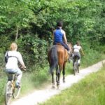 Camping Le Mouretou - Bild 5 Camping Le Mouretou - Bild 5