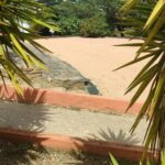 Camping Le Parc Des Chênes - Bild 5 Camping Le Parc Des Chênes - Bild 5