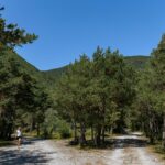 Camping Le Parc Des Sérigons - Bild 14