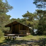 Camping Le Parc Des Sérigons - Bild 16