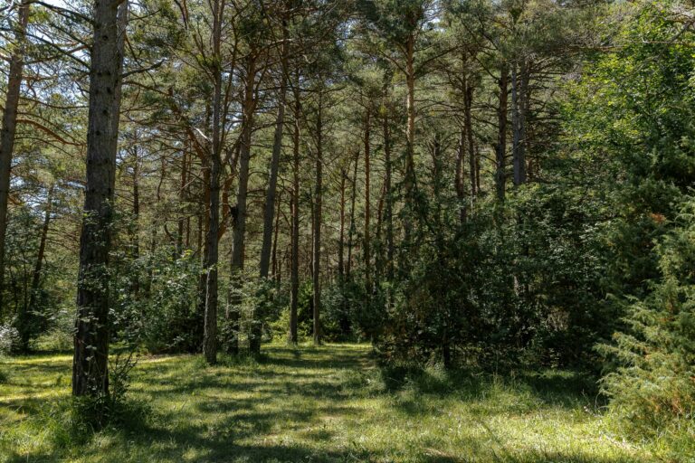 Camping Le Parc Des Sérigons - Bild 20