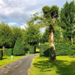 Camping Le Pont De Mazerat - Bild 7