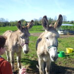 Camping Le Ragis - Bild 4 Camping Le Ragis - Bild 4