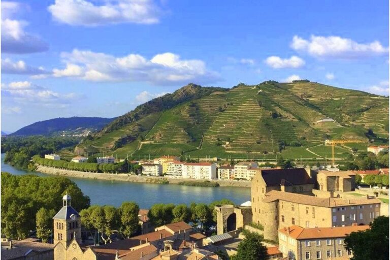 Camping Le Rhône - Bild 8 Camping Le Rhône - Bild 8