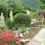 Camping Le Roc Qui Parle - Bild 7