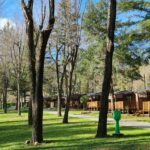 Camping Le Roubreau - Bild 3