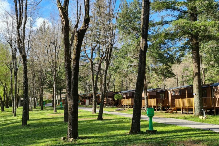 Camping Le Roubreau - Bild 3