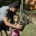 Camping Le Ruisseau Des Pyrénées - Bild 10