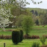 Camping Le Soustran - Bild 4