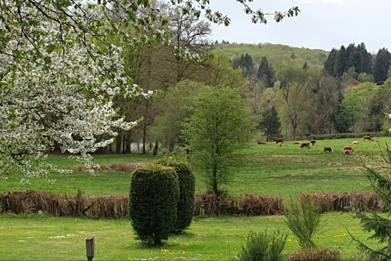 Camping Le Soustran - Bild 4