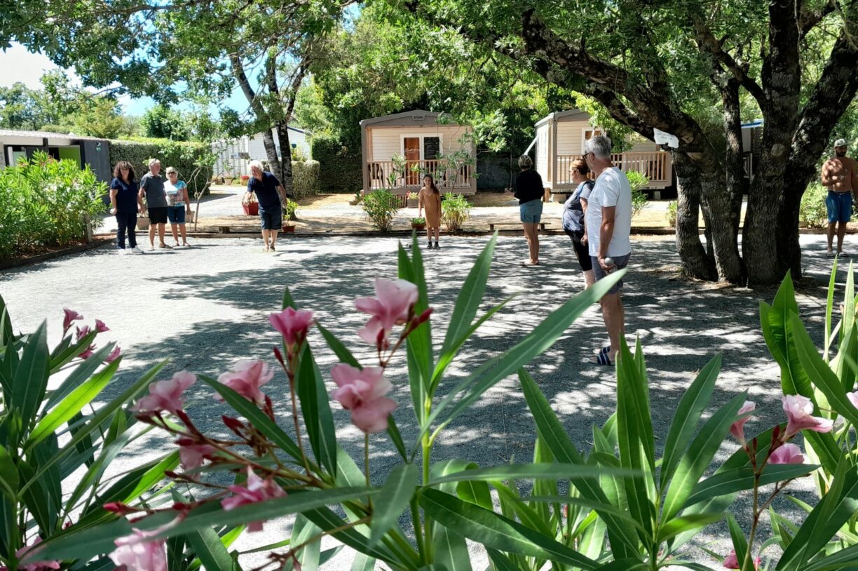 Camping Le Transat - Bild 15 Camping Le Transat - Bild 15