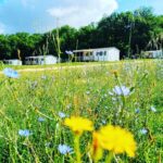 Camping Le Valenty - Bild 14