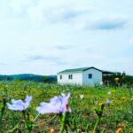 Camping Le Valenty - Bild 16