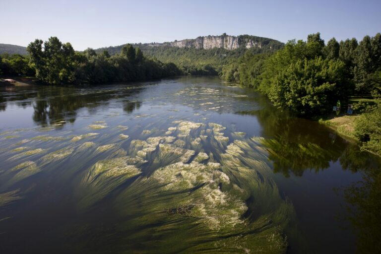 Camping Le Village Du Port - Bild 13 Camping Le Village Du Port - Bild 13