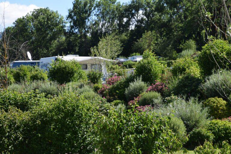 Camping Les 12 Cols - Bild 11