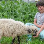 Camping Les 2 Soleils - Bild 7