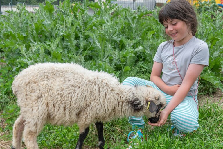 Camping Les 2 Soleils - Bild 7