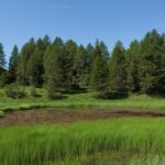 Camping Les Auches - Bild 8