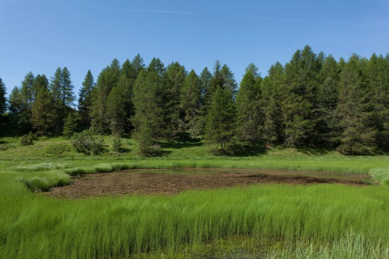 Camping Les Auches - Bild 8