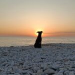 Camping Les Baleines - Bild 6