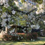 Camping Les Berges Du Doux - Bild 11