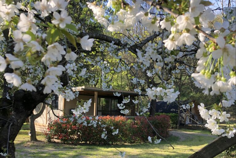 Camping Les Berges Du Doux - Bild 11