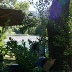 Camping Les Bords Du Tarn - Bild 5 Camping Les Bords Du Tarn - Bild 5