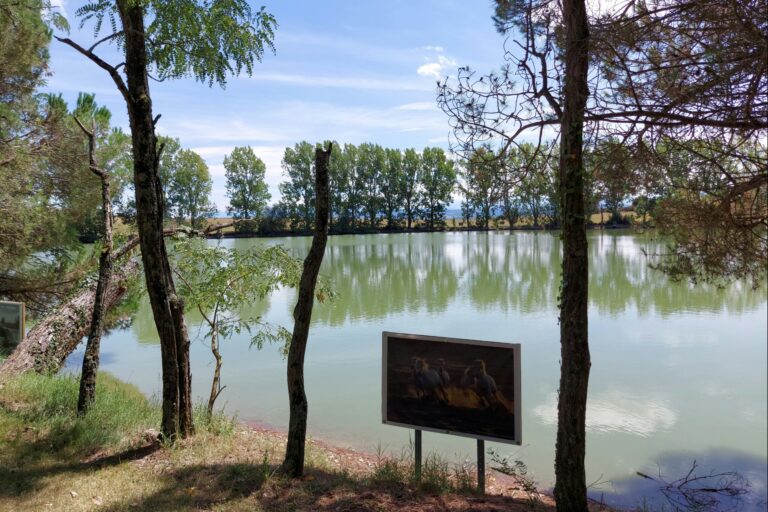 Camping Les Brugues - Bild 17