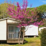 Camping Les Casteillets - Bild 14 Camping Les Casteillets - Bild 14