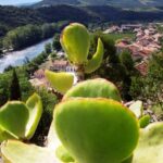 Camping Les Cerisiers Du Jaur - Bild 18