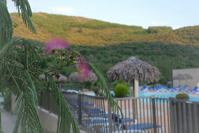 Camping Les Cerisiers Du Jaur - Bild 9