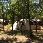 Camping Les Chênes Blancs - Bild 6