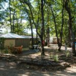 Camping Les Chênes Blancs - Bild 8