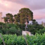 Camping Les Cigales - Bild 2 Camping Les Cigales - Bild 2